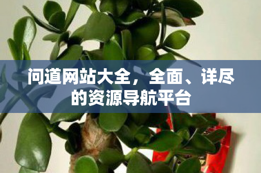 问道网站大全，全面、详尽的资源导航平台