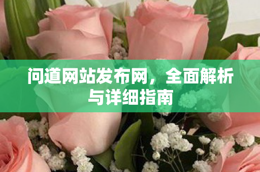 问道网站发布网，全面解析与详细指南