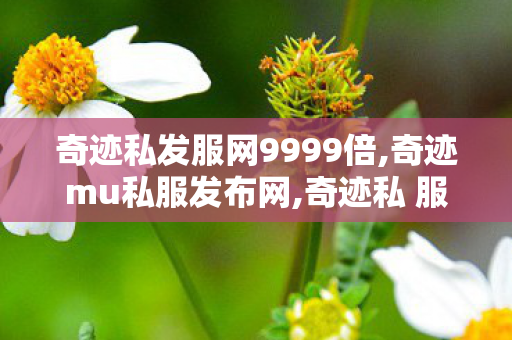 奇迹私发服网9999倍,奇迹mu私服发布网,奇迹私 服,奇迹mu私服发布网