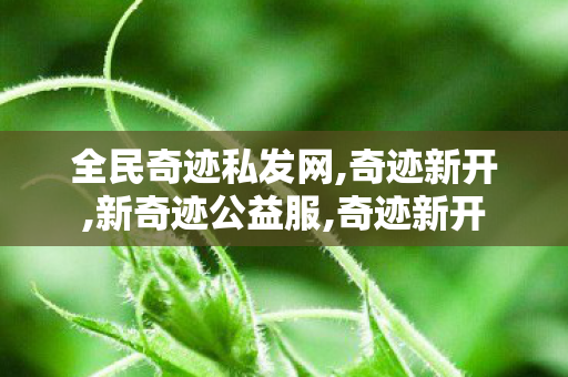 全民奇迹私发网,奇迹新开,新奇迹公益服,奇迹新开