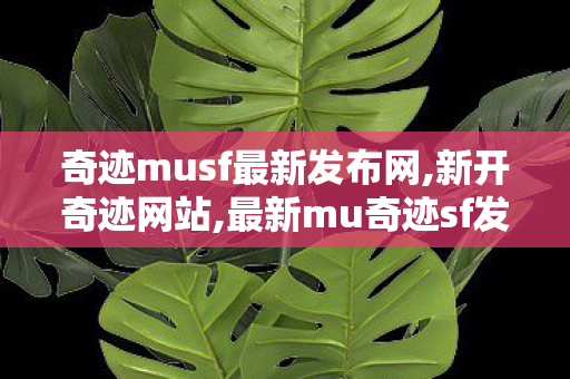 奇迹musf最新发布网,新开奇迹网站,最新mu奇迹sf发布,新开奇迹网站