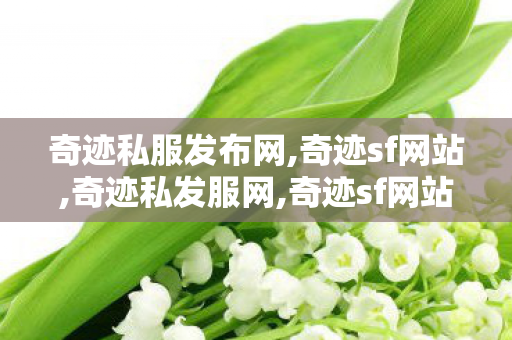 奇迹私服发布网,奇迹sf网站,奇迹私发服网,奇迹sf网站
