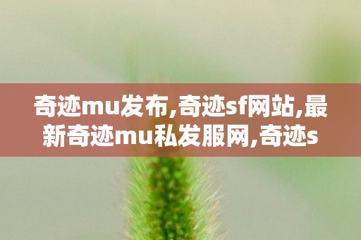 奇迹mu发布,奇迹sf网站,最新奇迹mu私发服网,奇迹sf网站