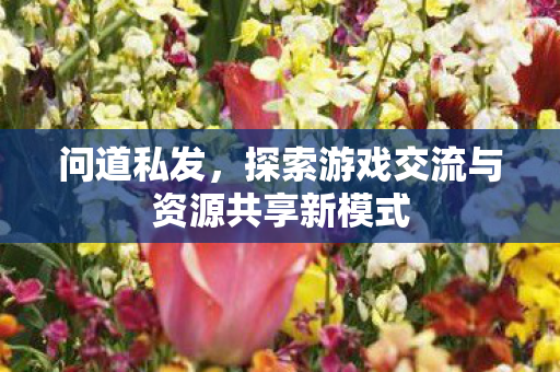 问道私发，探索游戏交流与资源共享新模式