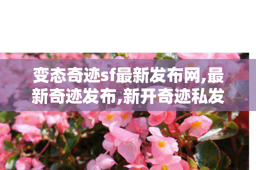 变态奇迹sf最新发布网,最新奇迹发布,新开奇迹私发服,最新奇迹发布