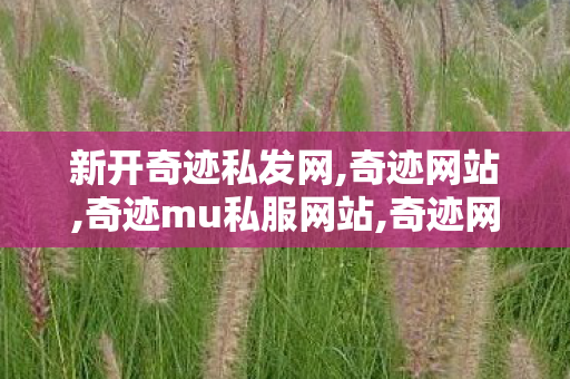 新开奇迹私发网,奇迹网站,奇迹mu私服网站,奇迹网站