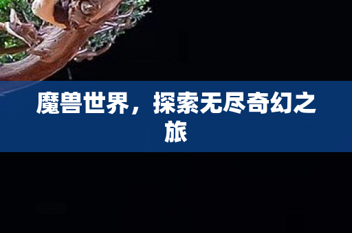 魔兽世界，探索无尽奇幻之旅