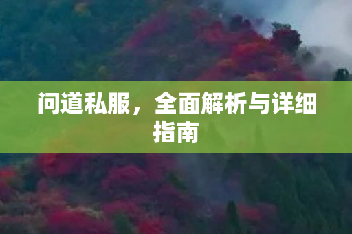 问道私服，全面解析与详细指南
