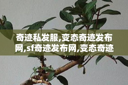 奇迹私发服,变态奇迹发布网,sf奇迹发布网,变态奇迹发布网