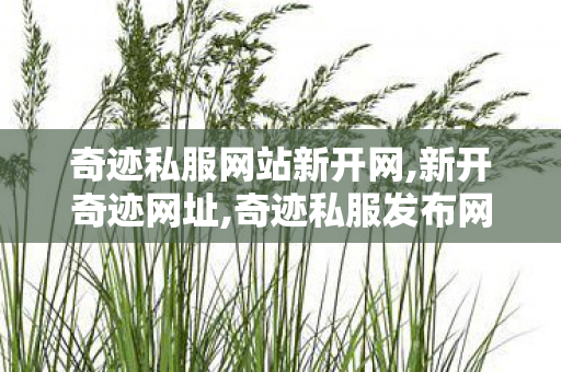 奇迹私服网站新开网,新开奇迹网址,奇迹私服发布网刚开一秒,新开奇迹网址
