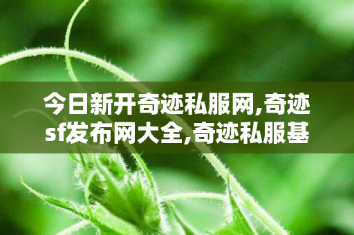 今日新开奇迹私服网,奇迹sf发布网大全,奇迹私服基地,奇迹sf发布网大全