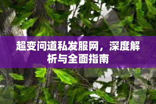 超变问道私发服网，深度解析与全面指南