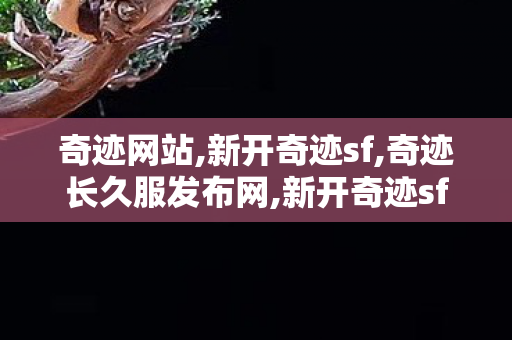 奇迹网站,新开奇迹sf,奇迹长久服发布网,新开奇迹sf