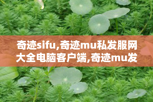 奇迹sifu,奇迹mu私发服网大全电脑客户端,奇迹mu发布网,奇迹mu私发服网大全电脑客户端