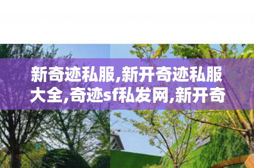 新奇迹私服,新开奇迹私服大全,奇迹sf私发网,新开奇迹私服大全