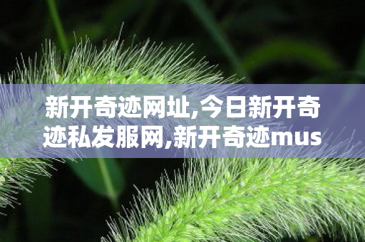 新开奇迹网址,今日新开奇迹私发服网,新开奇迹musf发布网,今日新开奇迹私发服网