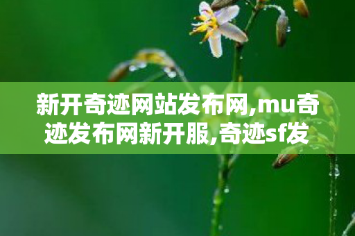 新开奇迹网站发布网,mu奇迹发布网新开服,奇迹sf发布,mu奇迹发布网新开服