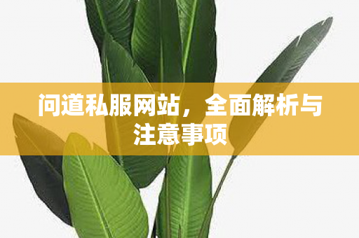 问道私服网站，全面解析与注意事项