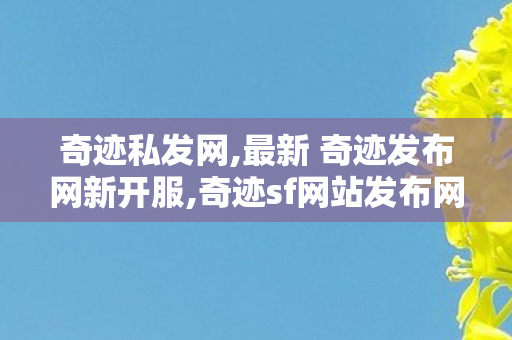 奇迹私发网,最新 奇迹发布网新开服,奇迹sf网站发布网,最新 奇迹发布网新开服