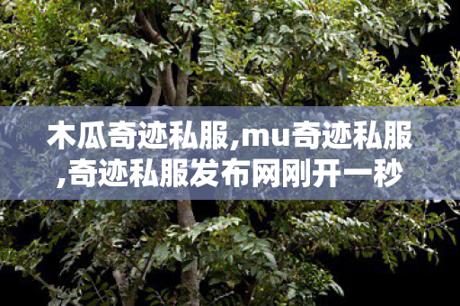 木瓜奇迹私服,mu奇迹私服,奇迹私服发布网刚开一秒,mu奇迹私服