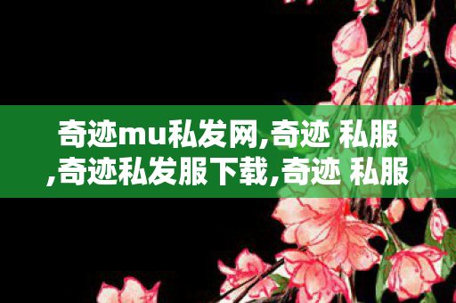 奇迹mu私发网,奇迹 私服,奇迹私发服下载,奇迹 私服