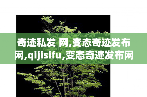 奇迹私发 网,变态奇迹发布网,qijisifu,变态奇迹发布网