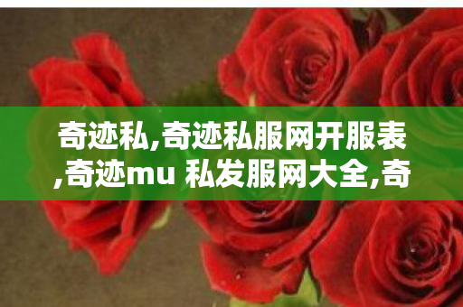 奇迹私,奇迹私服网开服表,奇迹mu 私发服网大全,奇迹私服网开服表