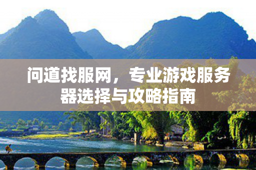问道找服网，专业游戏服务器选择与攻略指南