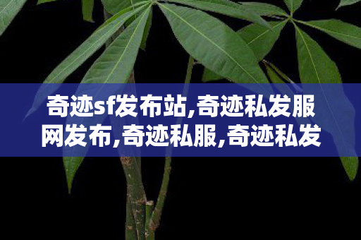 奇迹sf发布站,奇迹私发服网发布,奇迹私服,奇迹私发服网发布