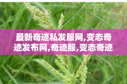 最新奇迹私发服网,变态奇迹发布网,奇迹服,变态奇迹发布网