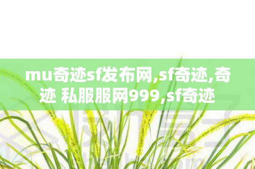 mu奇迹sf发布网,sf奇迹,奇迹 私服服网999,sf奇迹