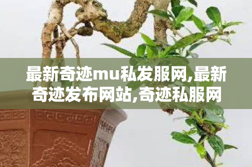 最新奇迹mu私发服网,最新奇迹发布网站,奇迹私服网大全,最新奇迹发布网站