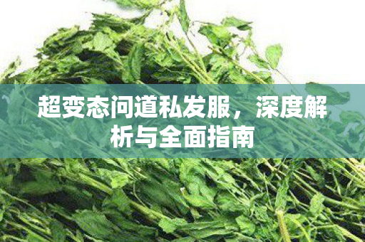 超变态问道私发服，深度解析与全面指南