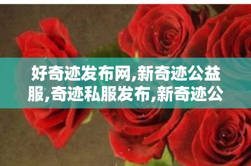 好奇迹发布网,新奇迹公益服,奇迹私服发布,新奇迹公益服