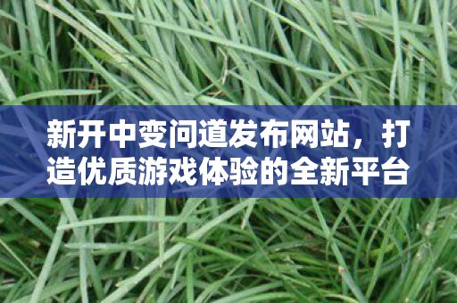 新开中变问道发布网站，打造优质游戏体验的全新平台