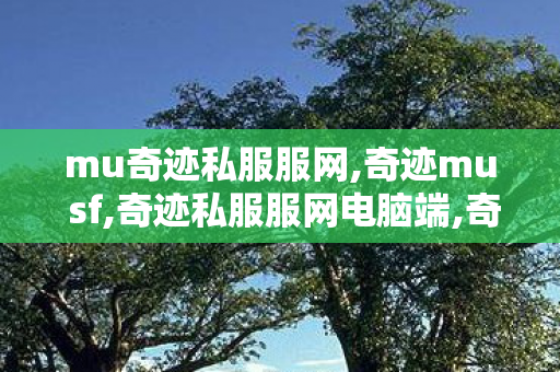 mu奇迹私服服网,奇迹mu sf,奇迹私服服网电脑端,奇迹mu sf