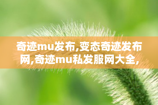 奇迹mu发布,变态奇迹发布网,奇迹mu私发服网大全,变态奇迹发布网