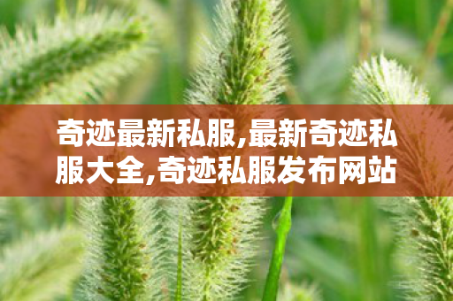 奇迹最新私服,最新奇迹私服大全,奇迹私服发布网站,最新奇迹私服大全