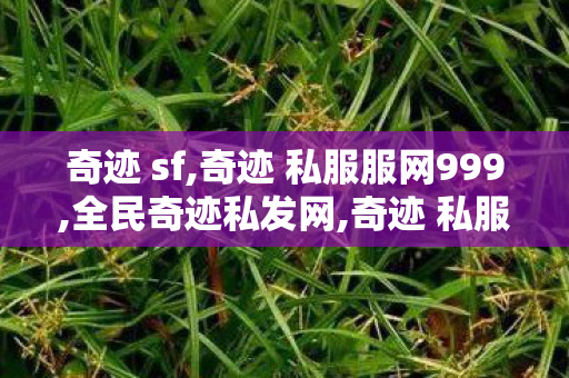 奇迹 sf,奇迹 私服服网999,全民奇迹私发网,奇迹 私服服网999