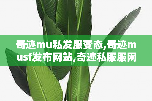 奇迹mu私发服变态,奇迹musf发布网站,奇迹私服服网大全,奇迹musf发布网站