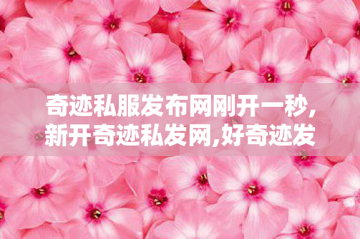 奇迹私服发布网刚开一秒,新开奇迹私发网,好奇迹发布网,新开奇迹私发网