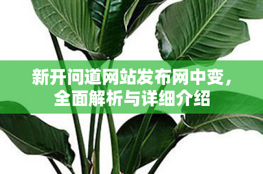 新开问道网站发布网中变，全面解析与详细介绍