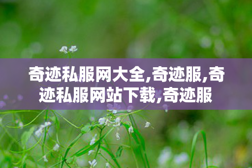 奇迹私服网大全,奇迹服,奇迹私服网站下载,奇迹服