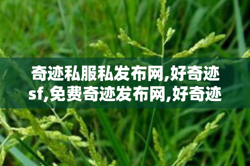 奇迹私服私发布网,好奇迹sf,免费奇迹发布网,好奇迹sf