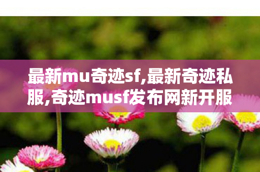 最新mu奇迹sf,最新奇迹私服,奇迹musf发布网新开服,最新奇迹私服