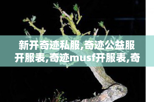 新开奇迹私服,奇迹公益服开服表,奇迹musf开服表,奇迹公益服开服表