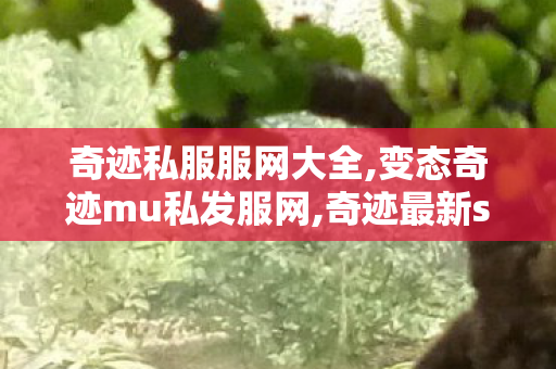 奇迹私服服网大全,变态奇迹mu私发服网,奇迹最新sf,变态奇迹mu私发服网