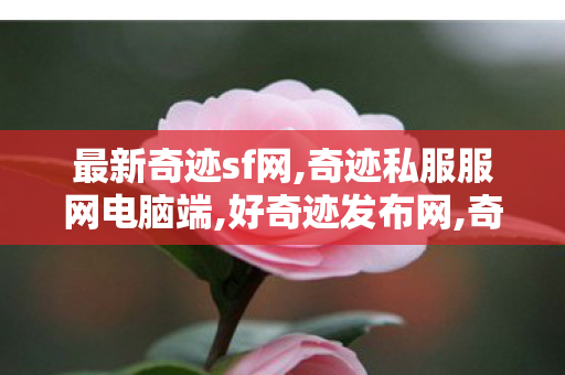 最新奇迹sf网,奇迹私服服网电脑端,好奇迹发布网,奇迹私服服网电脑端