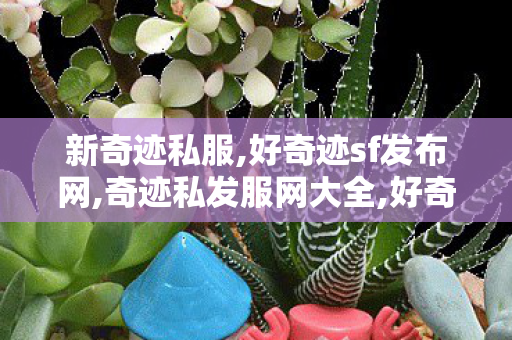 新奇迹私服,好奇迹sf发布网,奇迹私发服网大全,好奇迹sf发布网