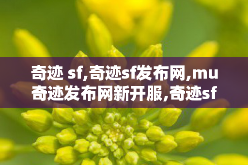 奇迹 sf,奇迹sf发布网,mu奇迹发布网新开服,奇迹sf发布网
